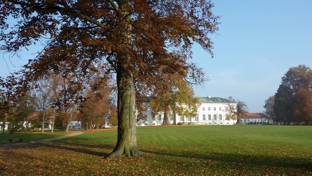 Hotel Schloss Neuhardenberg Dış mekan fotoğraf